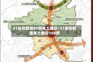 31省份新增85例本土确诊/31省份新增本土确诊108例