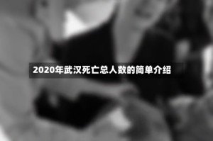 2020年武汉死亡总人数的简单介绍