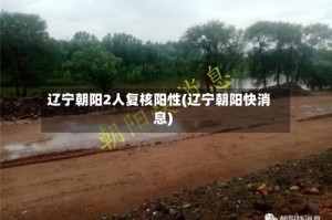 辽宁朝阳2人复核阳性(辽宁朝阳快消息)