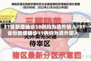 31省新增确诊19例均为境外输入/31省份新增确诊11例均为境外输入