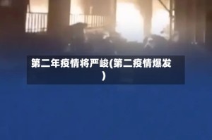第二年疫情将严峻(第二疫情爆发)