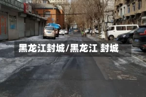 黑龙江封城/黑龙江 封城