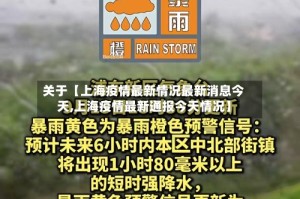 关于【上海疫情最新情况最新消息今天,上海疫情最新通报今天情况】