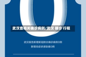 武汉查相关确诊病例/武汉 确诊 行程