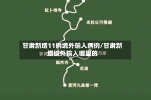 甘肃新增11例境外输入病例/甘肃新增境外输入哪里的