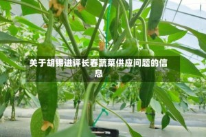 关于胡锡进评长春蔬菜供应问题的信息
