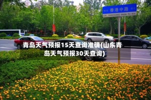 青岛天气预报15天查询准确(山东青岛天气预报30天查询)