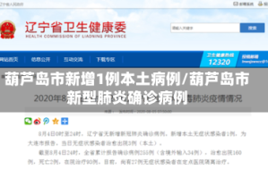 葫芦岛市新增1例本土病例/葫芦岛市新型肺炎确诊病例