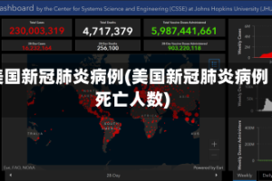 美国新冠肺炎病例(美国新冠肺炎病例死亡人数)