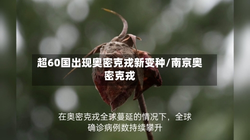 超60国出现奥密克戎新变种/南京奥密克戎-第2张图片