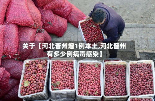 关于【河北晋州增1例本土,河北晋州有多少例病毒感染】-第1张图片