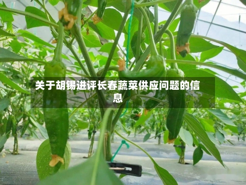 关于胡锡进评长春蔬菜供应问题的信息-第1张图片