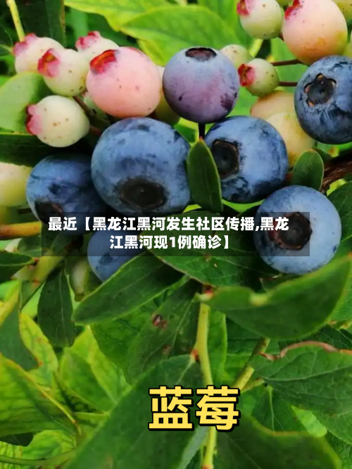 最近【黑龙江黑河发生社区传播,黑龙江黑河现1例确诊】-第2张图片