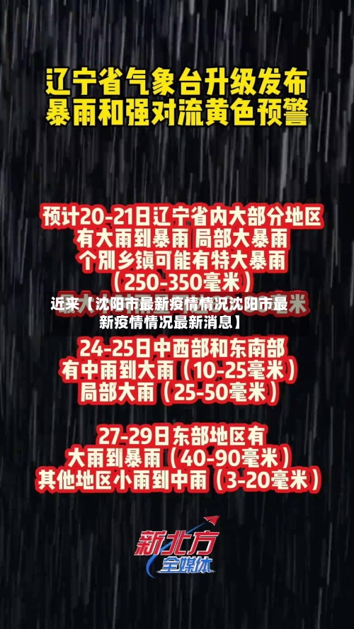 近来【沈阳市最新疫情情况沈阳市最新疫情情况最新消息】-第2张图片