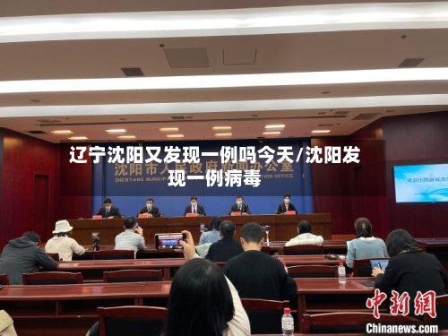 辽宁沈阳又发现一例吗今天/沈阳发现一例病毒-第2张图片