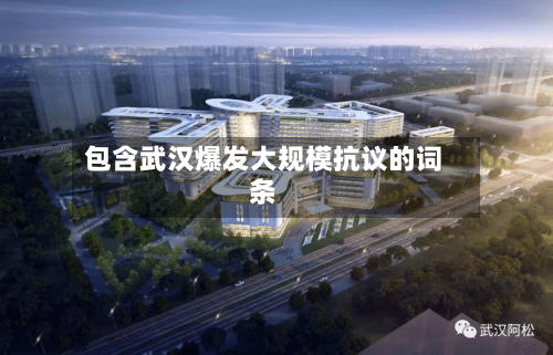 包含武汉爆发大规模抗议的词条-第2张图片