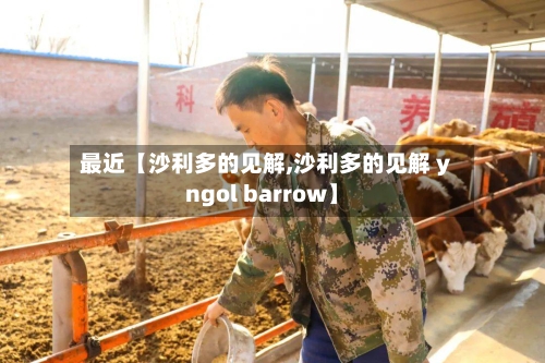 最近【沙利多的见解,沙利多的见解 yngol barrow】-第1张图片