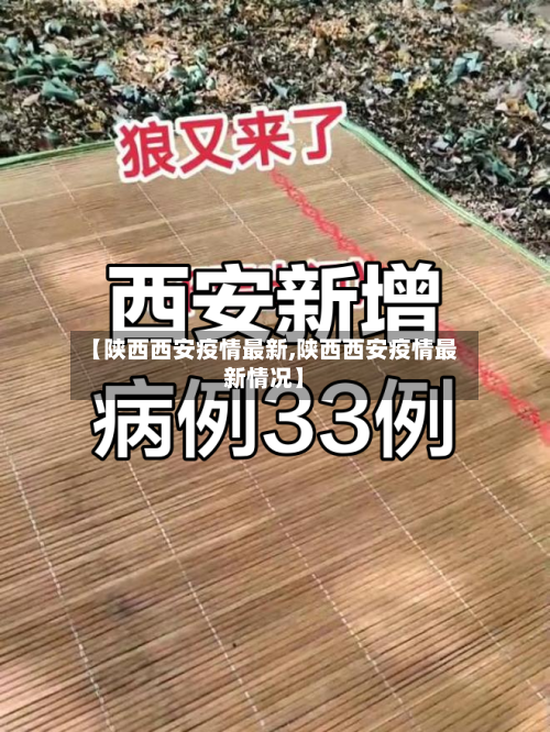 【陕西西安疫情最新,陕西西安疫情最新情况】-第2张图片
