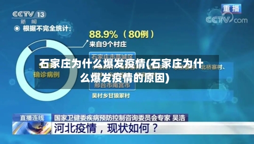 石家庄为什么爆发疫情(石家庄为什么爆发疫情的原因)-第1张图片