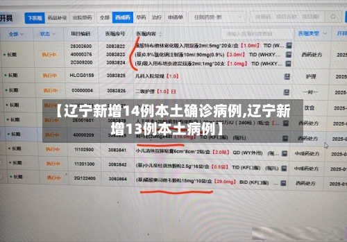 【辽宁新增14例本土确诊病例,辽宁新增13例本土病例】-第1张图片