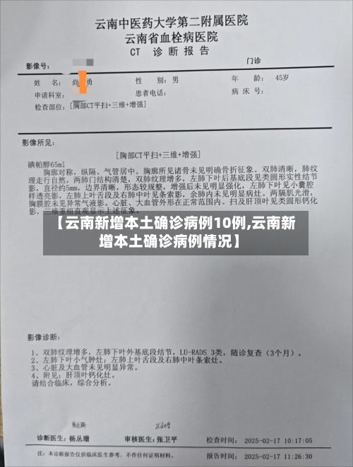 【云南新增本土确诊病例10例,云南新增本土确诊病例情况】-第2张图片