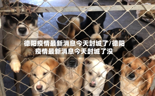 德阳疫情最新消息今天封城了/德阳疫情最新消息今天封城了没-第3张图片