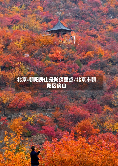 北京:朝阳房山是防疫重点/北京市朝阳区房山-第1张图片