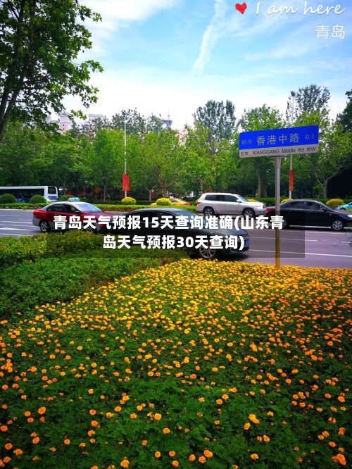 青岛天气预报15天查询准确(山东青岛天气预报30天查询)-第1张图片