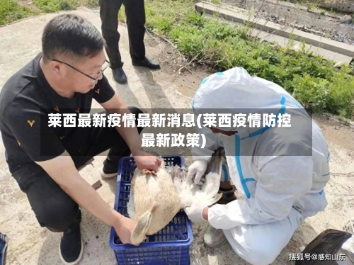 莱西最新疫情最新消息(莱西疫情防控最新政策)-第3张图片