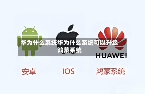 华为什么系统华为什么系统可以升级鸿蒙系统