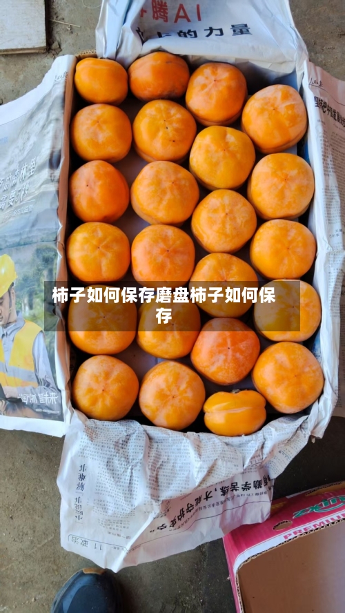 柿子如何保存磨盘柿子如何保存