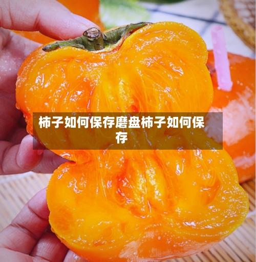 柿子如何保存磨盘柿子如何保存