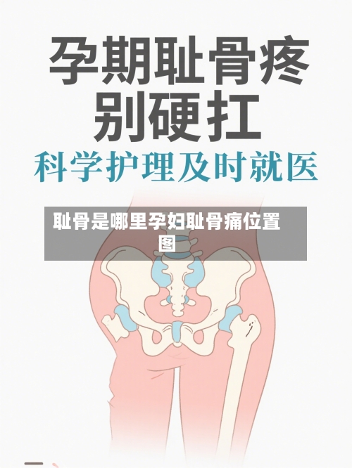 耻骨是哪里孕妇耻骨痛位置图